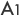 A1