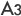 A3